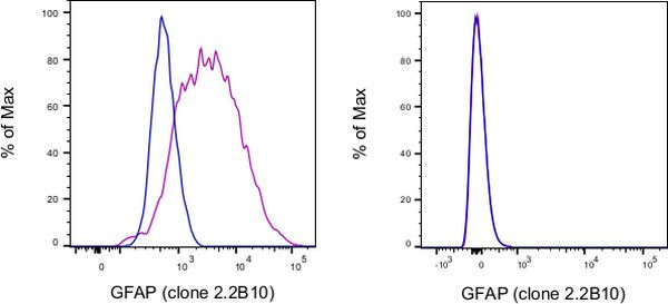 GFAP Antibody