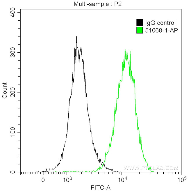 ERK1/2 Antibody in Flow Cytometry (Flow)