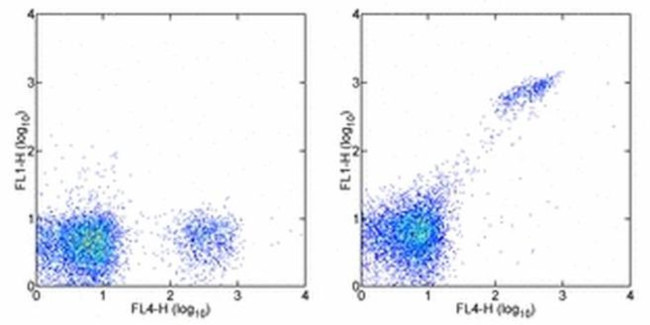 CD8b Antibody in Flow Cytometry (Flow)