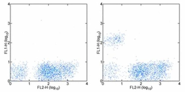 CD19 Antibody in Flow Cytometry (Flow)