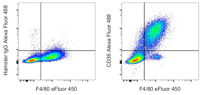 CD36 Antibody in Flow Cytometry (Flow)