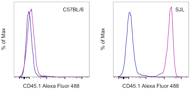 CD45.1 Antibody in Flow Cytometry (Flow)