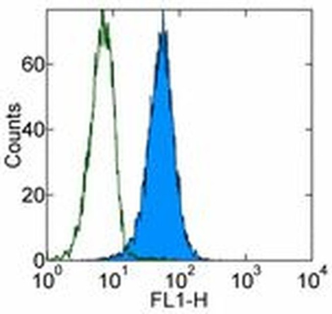 CD107b (LAMP-2) Antibody in Flow Cytometry (Flow)