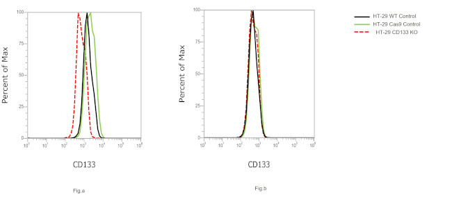 CD133 (Prominin-1) Antibody in Flow Cytometry (Flow)