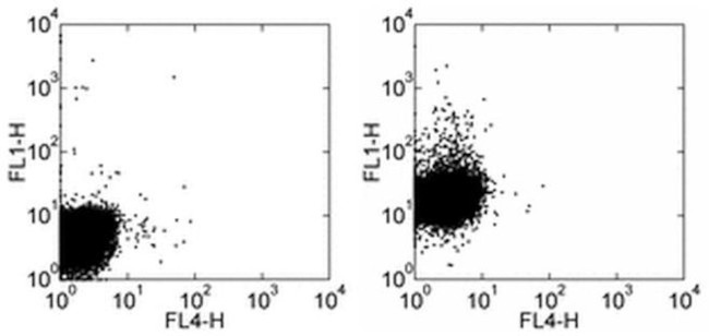 CD207 (Langerin) Antibody in Flow Cytometry (Flow)