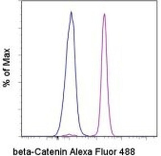 beta Catenin Antibody in Flow Cytometry (Flow)