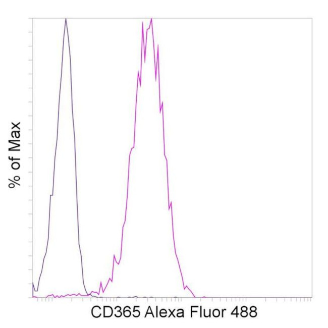 CD365 (Tim-1) Antibody in Flow Cytometry (Flow)