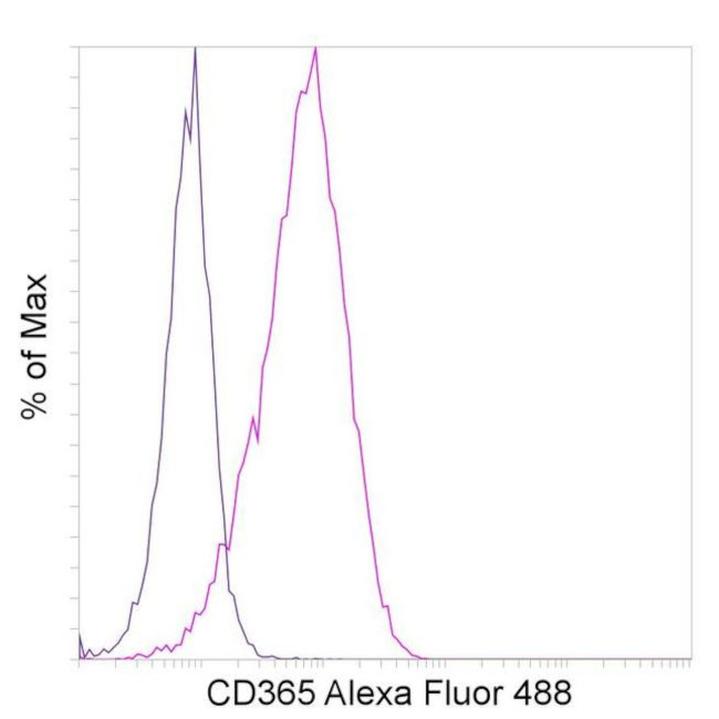 CD365 (Tim-1) Antibody in Flow Cytometry (Flow)