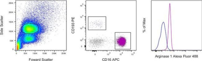 Arginase 1 Antibody in Flow Cytometry (Flow)