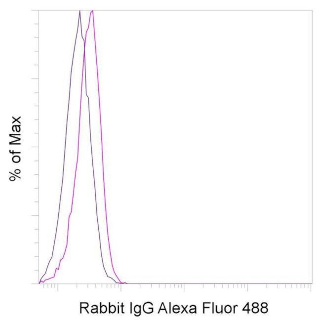 Rabbit IgG Isotype Control in Flow Cytometry (Flow)