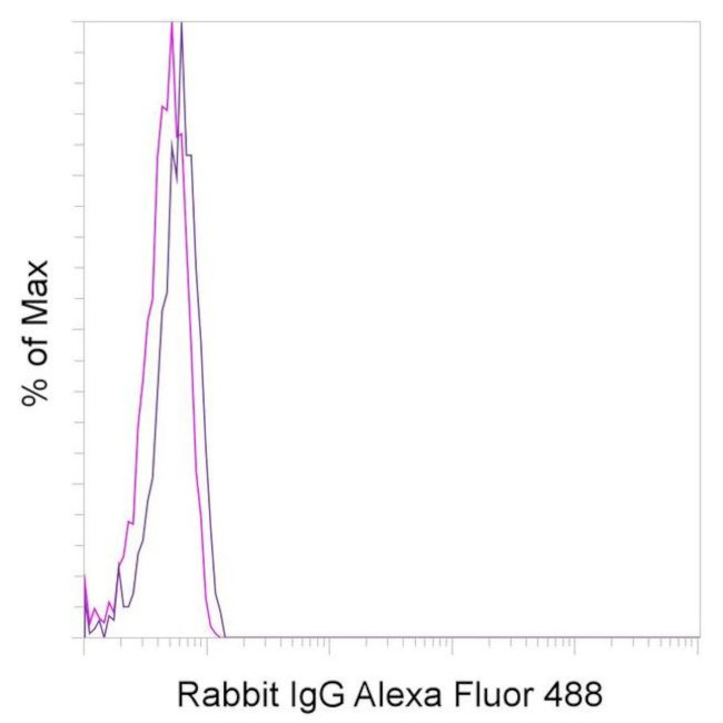 Rabbit IgG Isotype Control in Flow Cytometry (Flow)