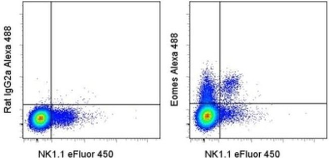 EOMES Antibody in Flow Cytometry (Flow)