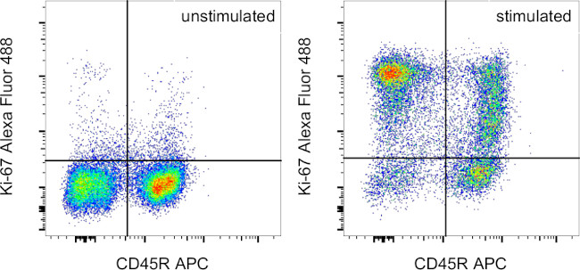 Ki-67 Antibody in Flow Cytometry (Flow)