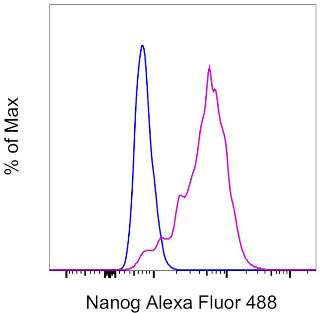 Nanog Antibody in Flow Cytometry (Flow)