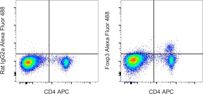 FOXP3 Antibody in Flow Cytometry (Flow)