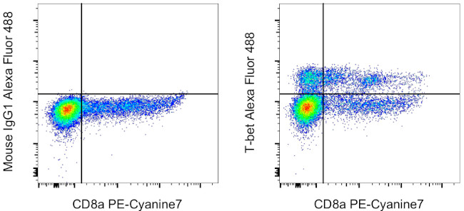 T-bet Antibody in Flow Cytometry (Flow)