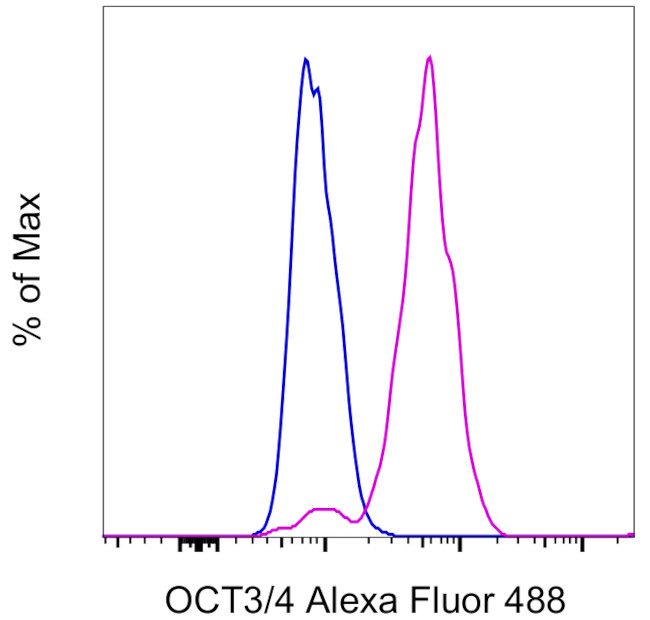 OCT3/4 Antibody in Flow Cytometry (Flow)