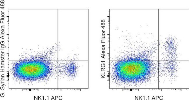 KLRG1 Antibody in Flow Cytometry (Flow)