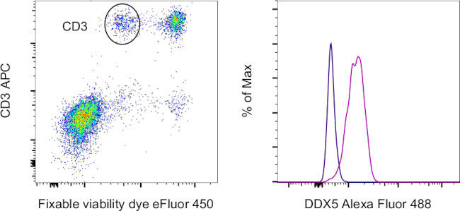 DDX5 Antibody in Flow Cytometry (Flow)