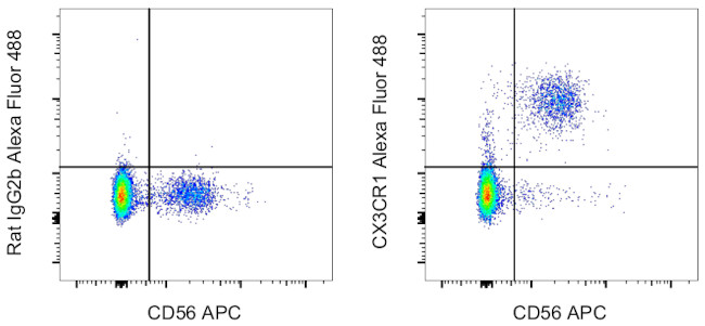 CX3CR1 Antibody in Flow Cytometry (Flow)