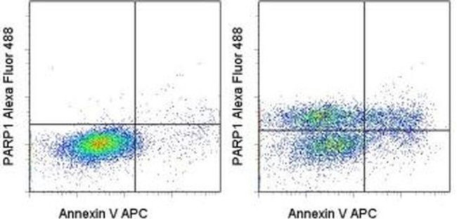 PARP1 (cleaved Asp214) Antibody in Flow Cytometry (Flow)