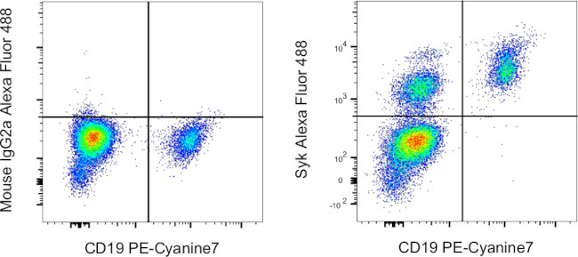 Syk Antibody in Flow Cytometry (Flow)