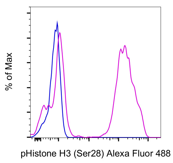 Phospho-Histone H3 (Ser28) Antibody in Flow Cytometry (Flow)