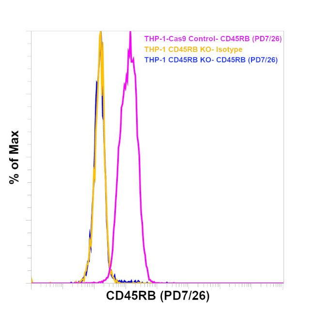 CD45RB Antibody