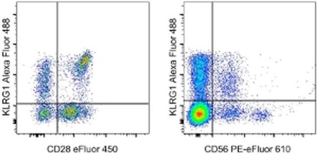 KLRG1 Antibody in Flow Cytometry (Flow)