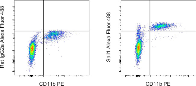 Sall1 Antibody in Flow Cytometry (Flow)