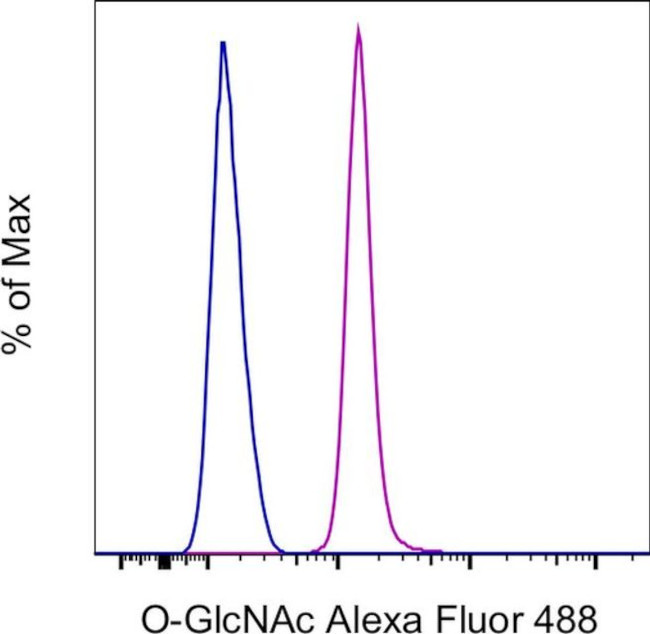 O-GlcNAc Antibody in Flow Cytometry (Flow)