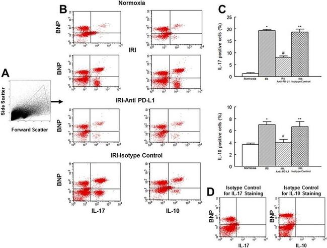 IL-17A Antibody in Flow Cytometry (Flow)