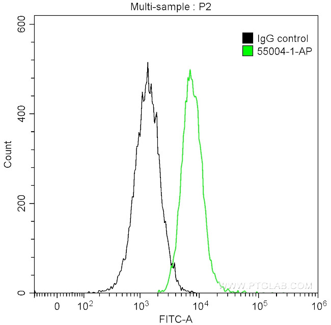 Cyclin B1 Antibody in Flow Cytometry (Flow)