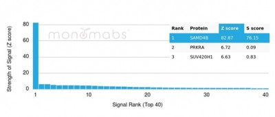 SAMD4B (Transcription Factor) Antibody in Peptide array (ARRAY)