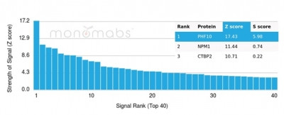 PHF10 (Transcription Factor) Antibody in Peptide array (ARRAY)