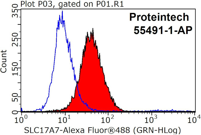 VGLUT1 Antibody in Flow Cytometry (Flow)