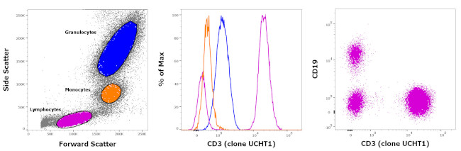 CD3 Antibody