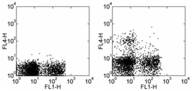 CD11c Antibody in Flow Cytometry (Flow)