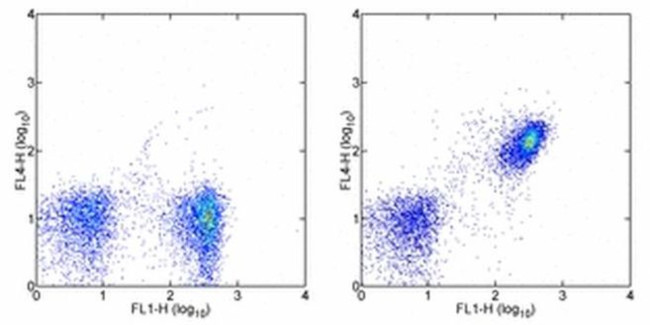 CD19 Antibody in Flow Cytometry (Flow)