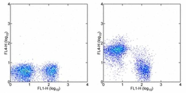 CD38 Antibody in Flow Cytometry (Flow)