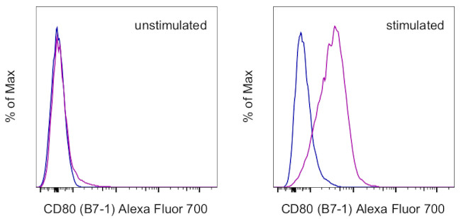 CD80 (B7-1) Antibody in Flow Cytometry (Flow)