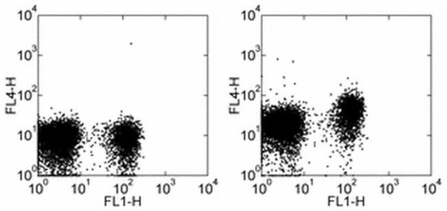 CD197 (CCR7) Antibody in Flow Cytometry (Flow)