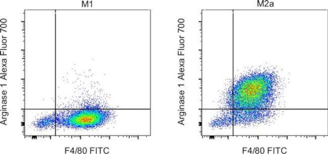 Arginase 1 Antibody in Flow Cytometry (Flow)