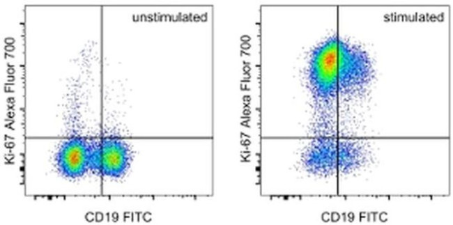 Ki-67 Antibody in Flow Cytometry (Flow)