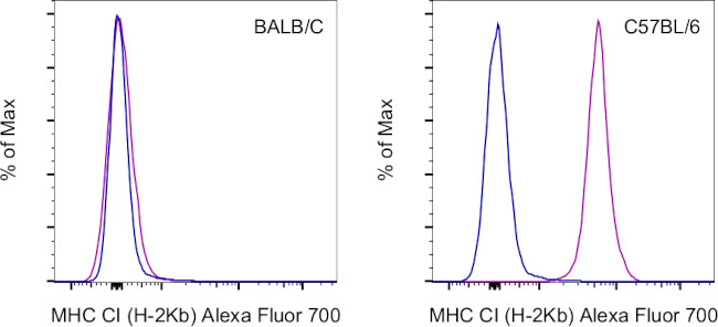 MHC Class I (H-2Kb) Antibody in Flow Cytometry (Flow)