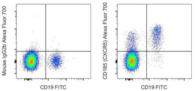 CD185 (CXCR5) Antibody in Flow Cytometry (Flow)