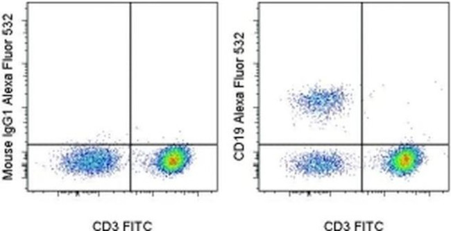 CD19 Antibody in Flow Cytometry (Flow)