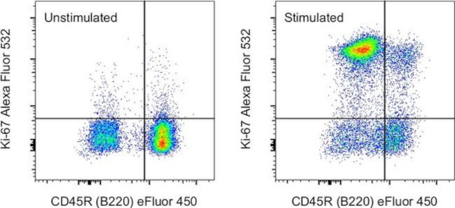 Ki-67 Antibody in Flow Cytometry (Flow)