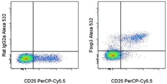 FOXP3 Antibody in Flow Cytometry (Flow)