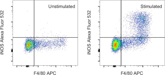 iNOS Antibody in Flow Cytometry (Flow)